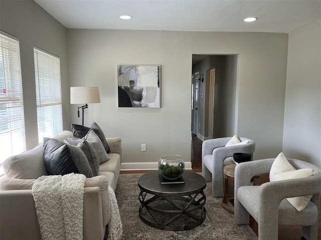 living room with hardwood / wood-style flooring