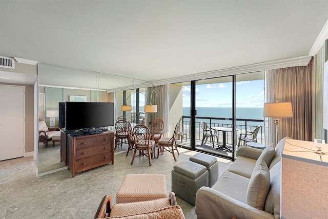 living room featuring expansive windows