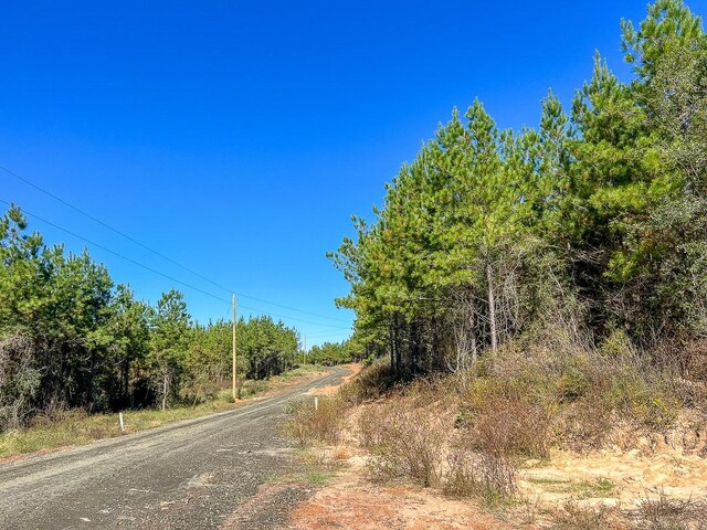 05 County Road 1060, Center, TX 75935 - photo 11