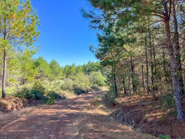 05 County Road 1060, Center, TX 75935 - photo 3