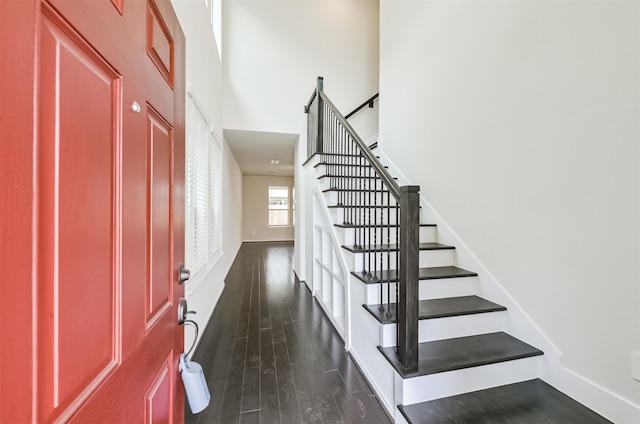 foyer entrance featuring a high ceiling and dark wood-type flooring