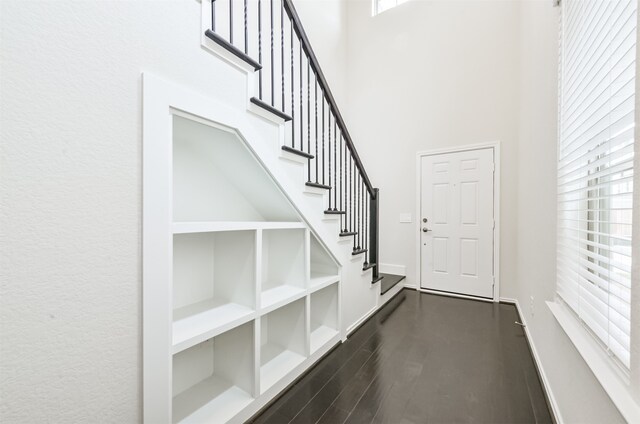 foyer with dark hardwood / wood-style floors and a wealth of natural light