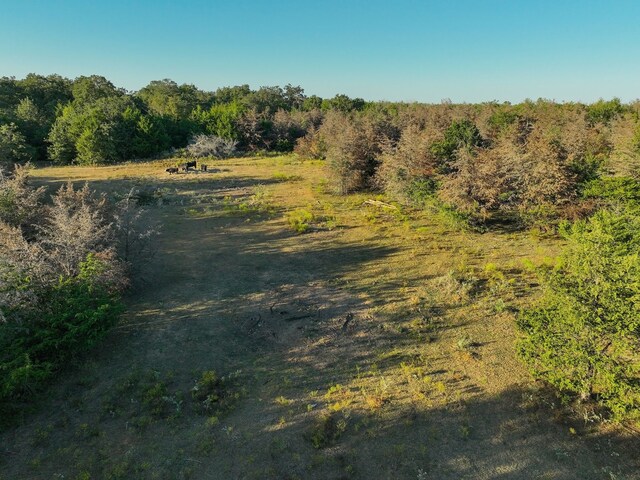 8315 County Road 315, Caldwell, TX 77836 - photo 16