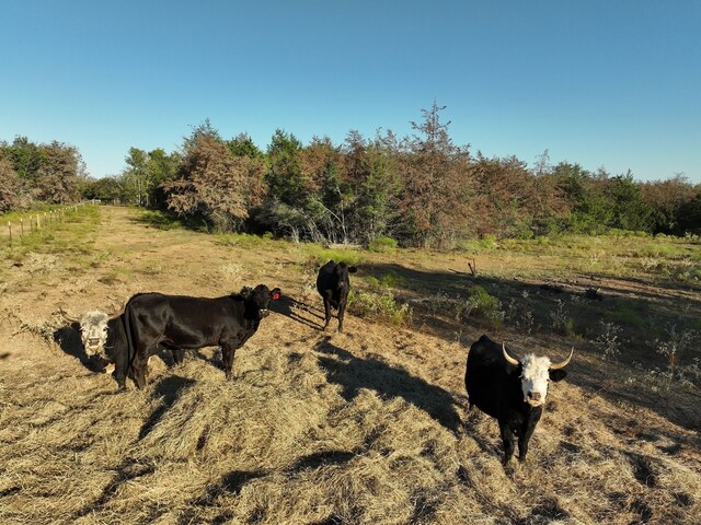 8315 County Road 315, Caldwell, TX 77836 - photo 18