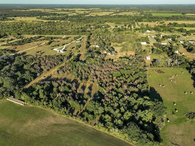 8315 County Road 315, Caldwell, TX 77836 - photo 9