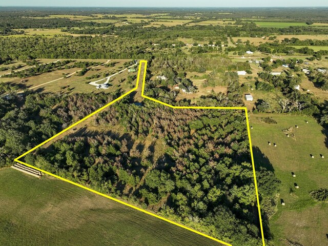 8315 County Road 315, Caldwell, TX 77836 - photo 10