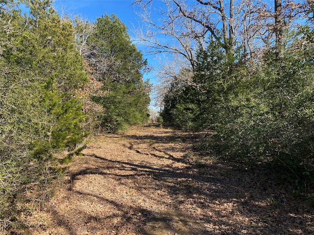 TBD Creekside Ln, Lexington TX, 78947 land for sale