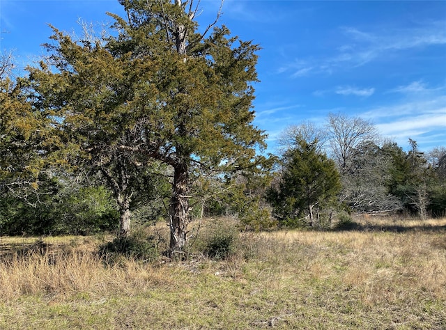 Listing photo 3 for TBD Creekside Ln, Lexington TX 78947