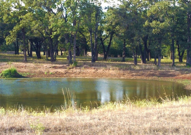 TBD Creekside Ln, Lexington TX, 78947 land for sale