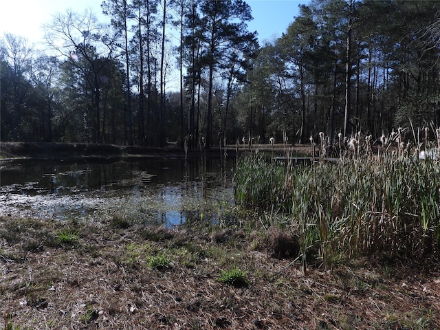 view of yard featuring a water view