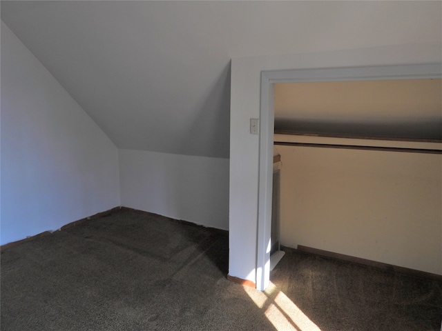 additional living space featuring carpet floors and vaulted ceiling