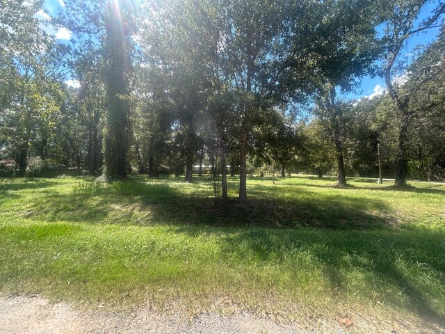 517 E Linney St, Dayton, TX 77535 - photo 3