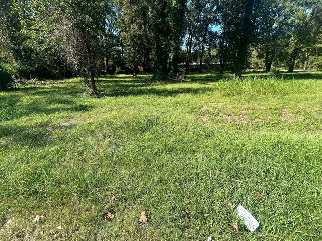 517 E Linney St, Dayton, TX 77535 - photo 4