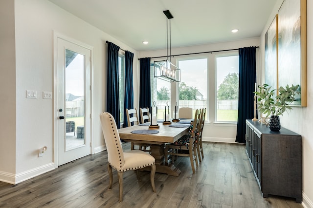 dining room featuring dark hardwood / wood-style floors