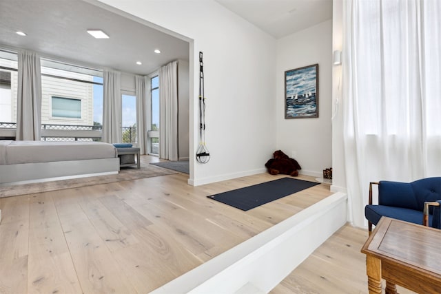 interior space featuring light hardwood / wood-style floors