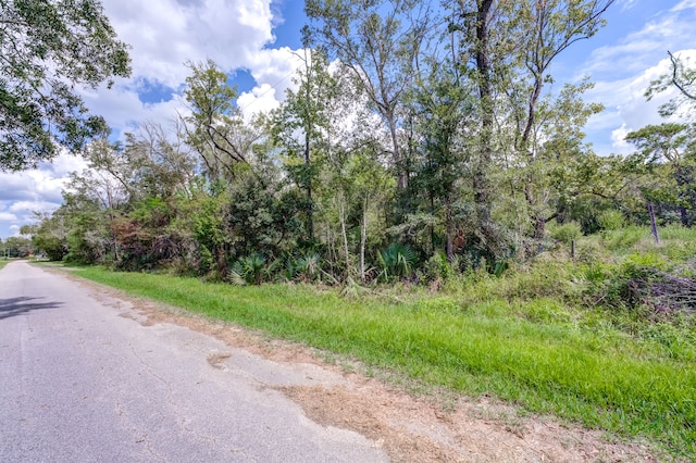 00 County Road 185, Liberty, TX 77575 - photo 2