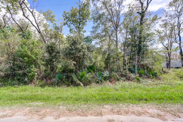 00 County Road 185, Liberty, TX 77575 - photo 3