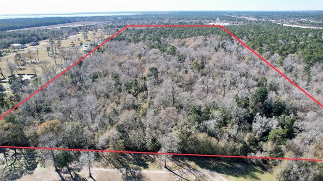 0 Hwy 61, Hankamer, TX 77560