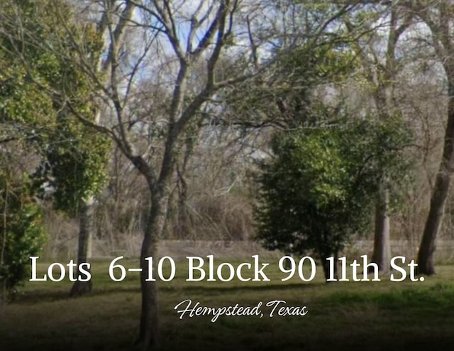 0 11th St, Hempstead TX, 77445 land for sale