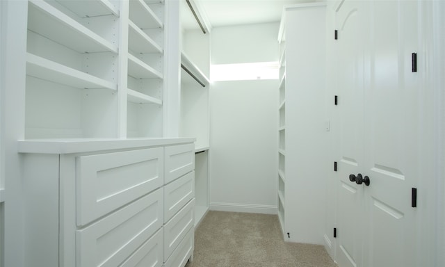 walk in closet with light carpet