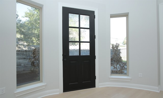 interior space with hardwood / wood-style flooring and a wealth of natural light