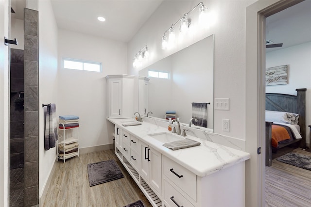 bathroom with hardwood / wood-style floors and vanity