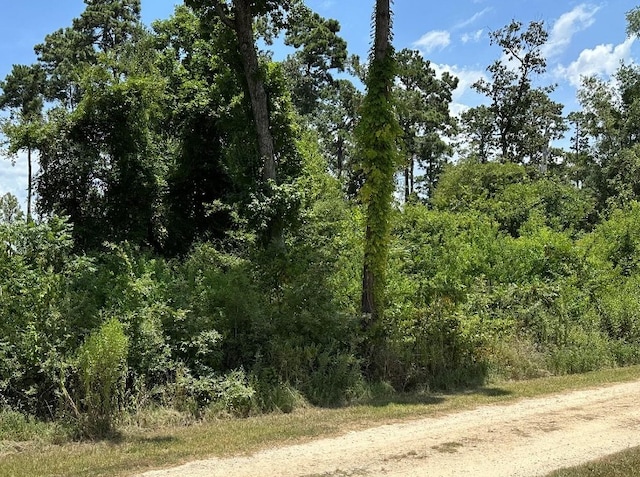 Listing photo 2 for LOT42 Hereford, Onalaska TX 77360