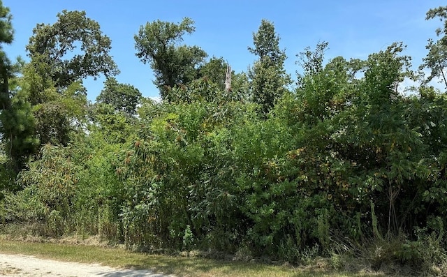 Listing photo 3 for LOT42 Hereford, Onalaska TX 77360