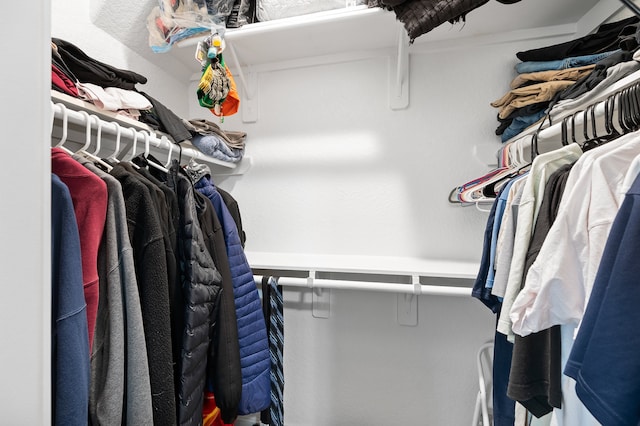 view of spacious closet