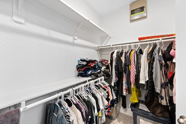 walk in closet featuring carpet floors