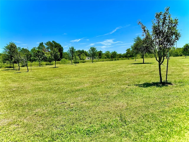 view of yard featuring a rural view