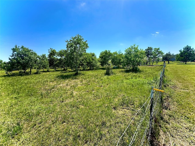 view of local wilderness with a rural view