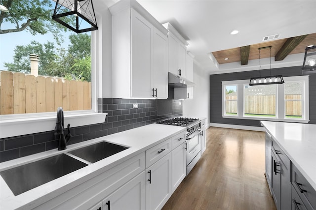 kitchen featuring white cabinets, high end stove, dark hardwood / wood-style floors, and sink