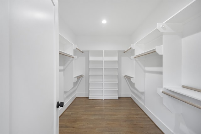 spacious closet with dark hardwood / wood-style flooring