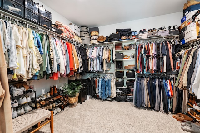 spacious closet featuring carpet floors