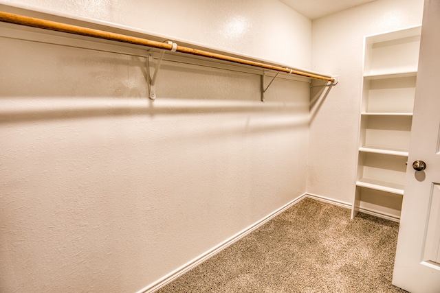 spacious closet featuring carpet floors