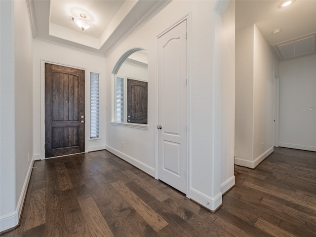 foyer with a tray ceiling and dark hardwood / wood-style flooring