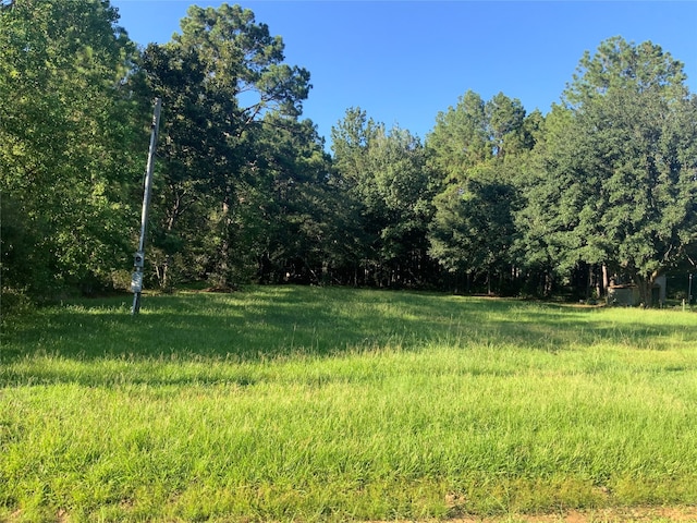 view of local wilderness