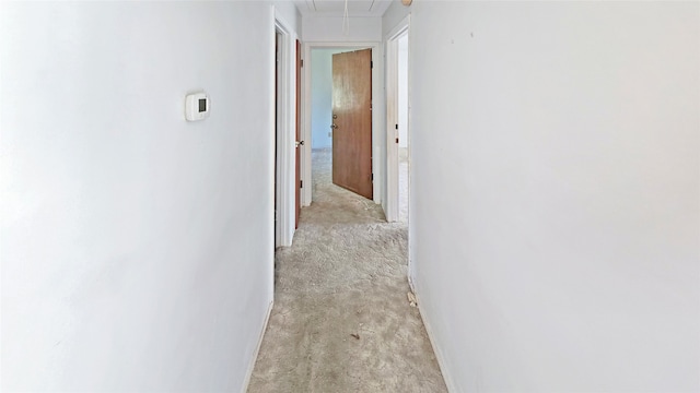 hallway with light colored carpet