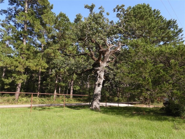 18855 Bethel Rd, Richards TX, 77873 land for sale