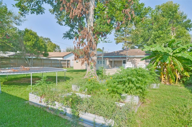 view of yard featuring a trampoline