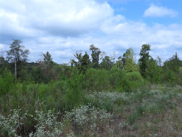 Listing photo 3 for TBD Snowhill Rd, Coldspring TX 77331