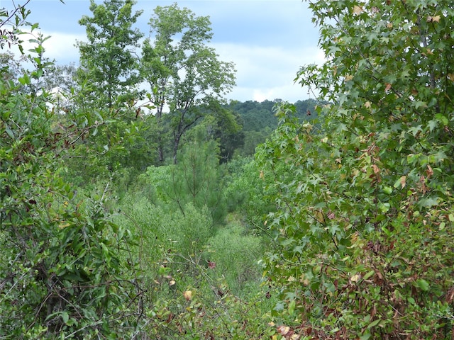 Listing photo 2 for TBD Snowhill Rd, Coldspring TX 77331