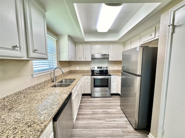 kitchen with white cabinetry, a raised ceiling, stainless steel appliances, light wood-type flooring, and sink