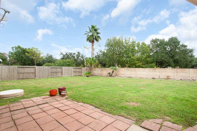 view of yard featuring a patio