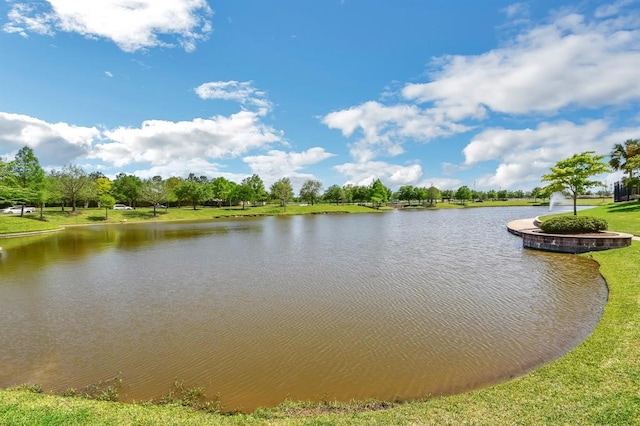 property view of water