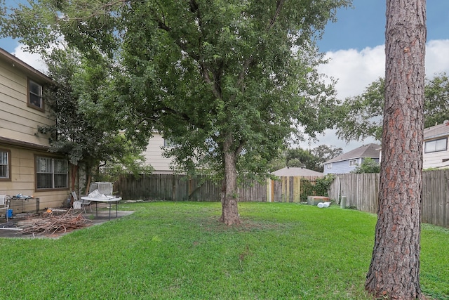 view of yard featuring a patio