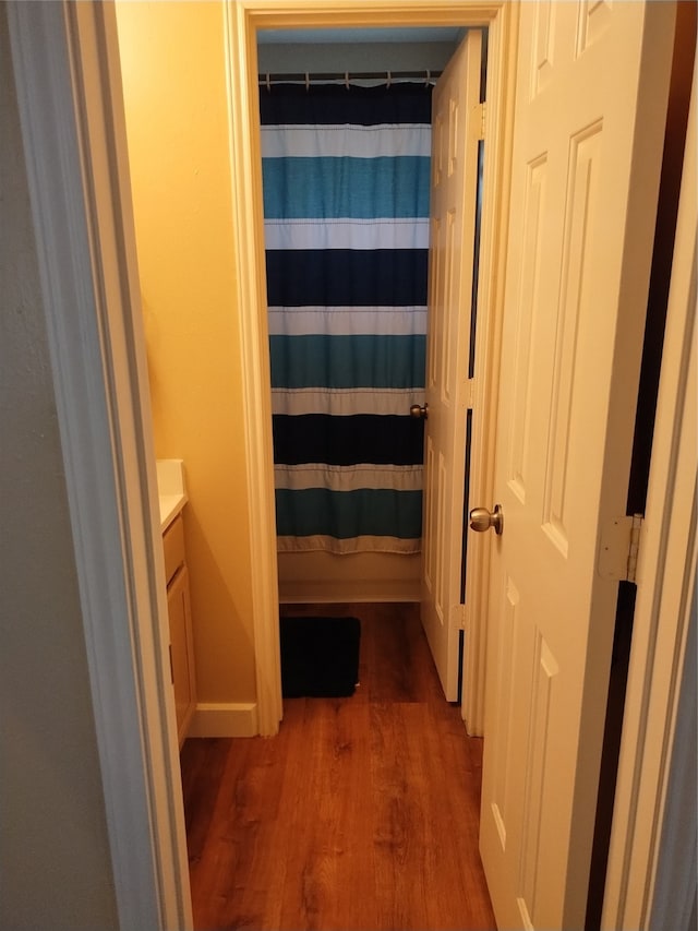 interior space with a shower with curtain, hardwood / wood-style flooring, and vanity