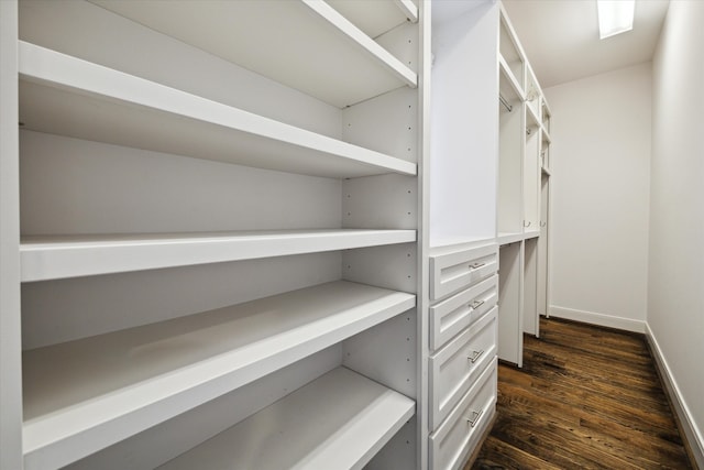 walk in closet with dark hardwood / wood-style floors