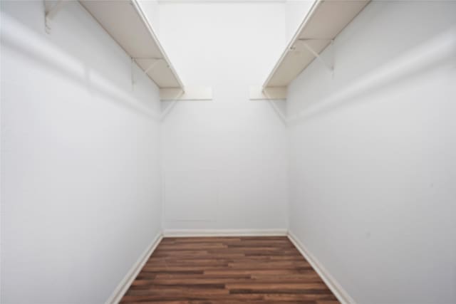 spacious closet featuring dark hardwood / wood-style floors